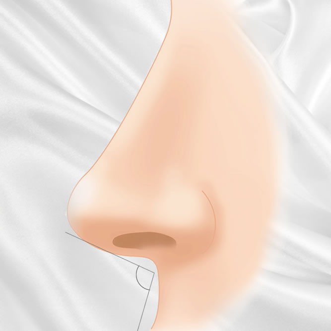 鼻唇角形成のアイコン
