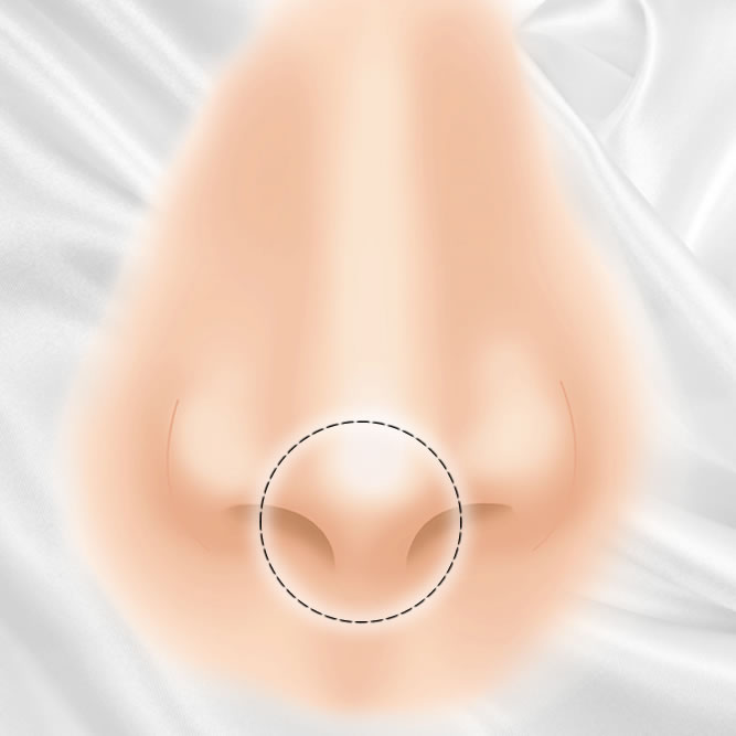 鼻先の整形のアイコン