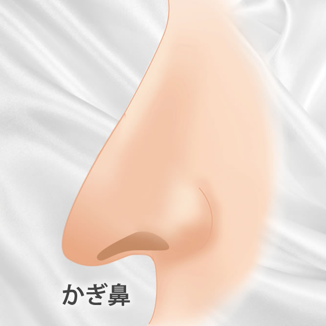 かぎ鼻の図解のイラスト