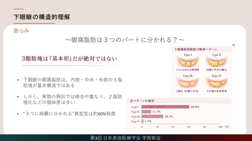 4_下眼瞼の構造的理解(ふくらみ)